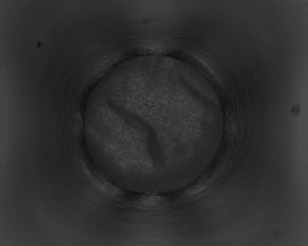 X0000091850459200710031023