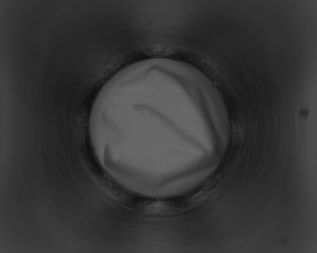 X0000091850460200710031023