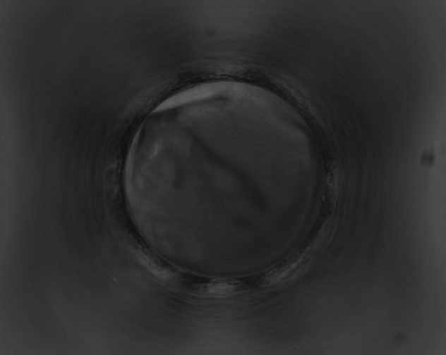 X0000091850462200710031023