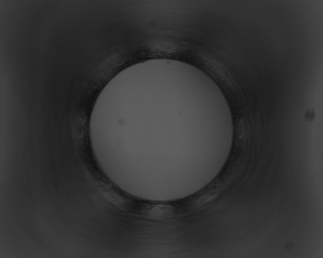 X0000091850463200710031023