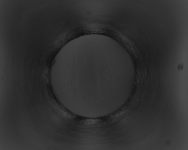 X0000091850465200710031023