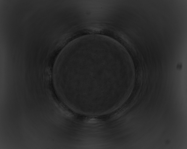 X0000091850467200710031023