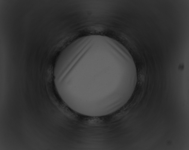 X0000091850468200710031023
