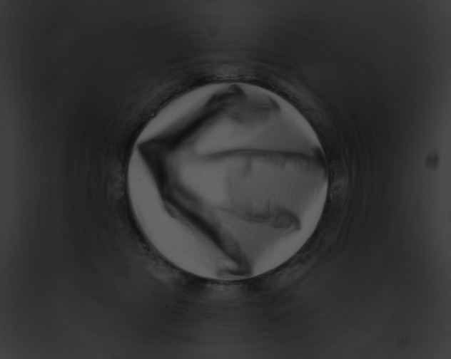 X0000091850469200710031023