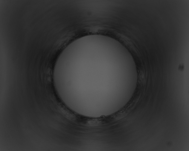 X0000091850470200710031023