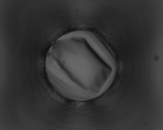 X0000091850472200710031023