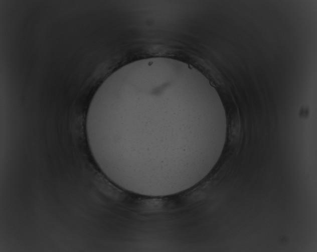 X0000091850473200710031023