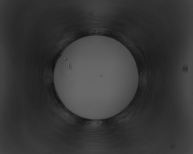 X0000091850474200710031023