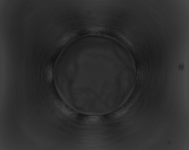 X0000091850479200710031023