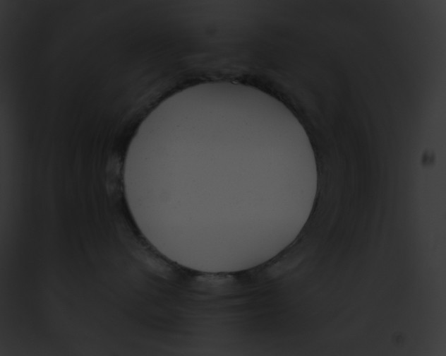 X0000091850480200710031023