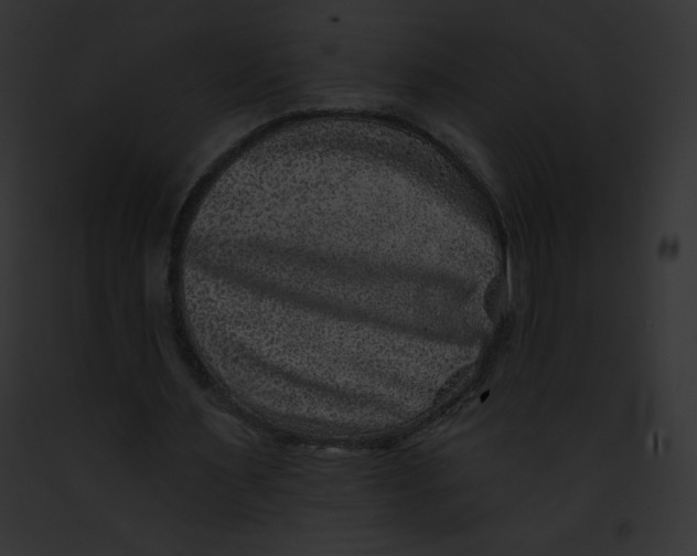 X0000091850483200710031023