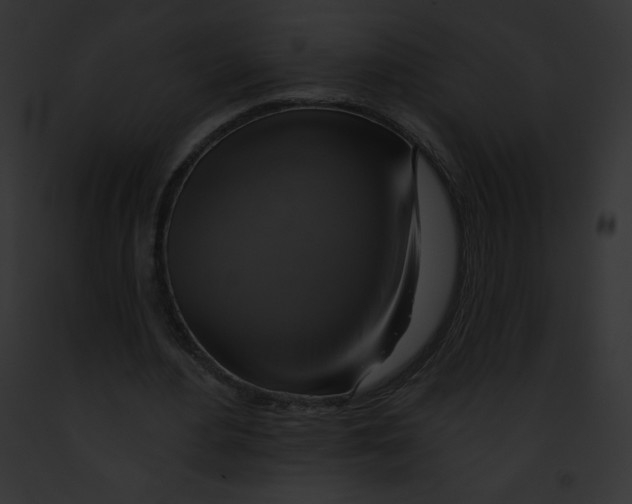 X0000091850484200710031023