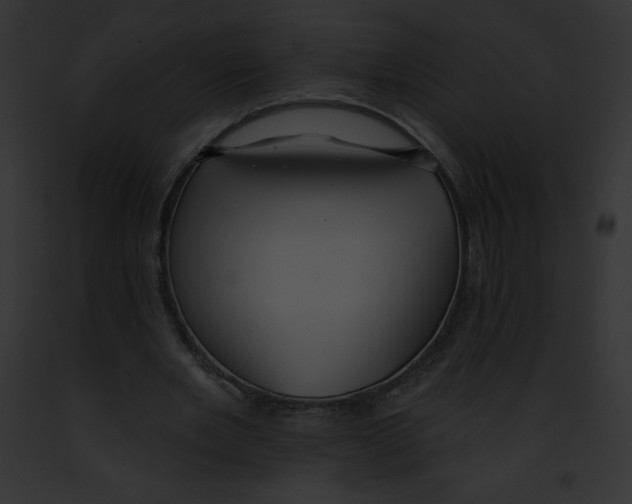 X0000091850485200710031023