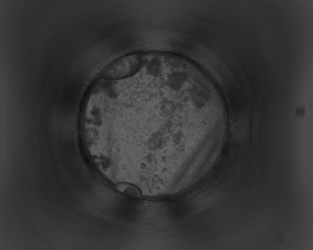 X0000091850487200710031023