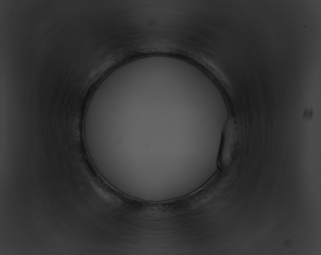 X0000091850489200710031023