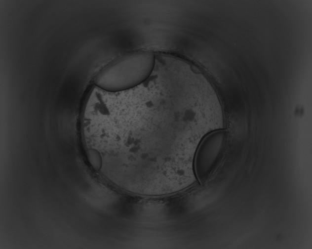 X0000091850491200710031023