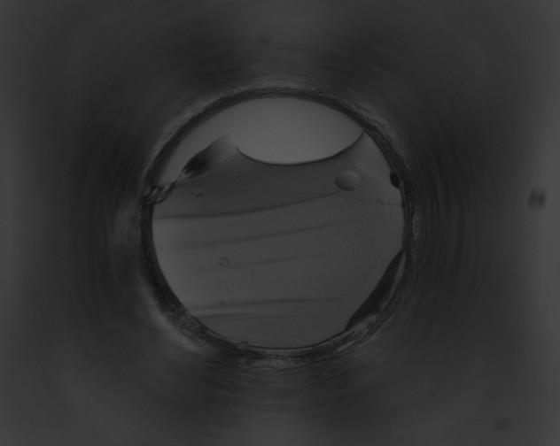 X0000091850492200710031023