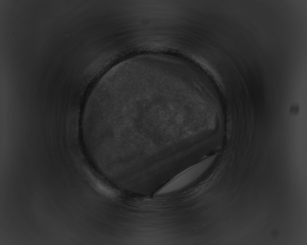 X0000091850493200710031023