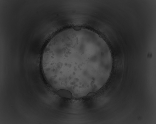 X0000091850495200710031023