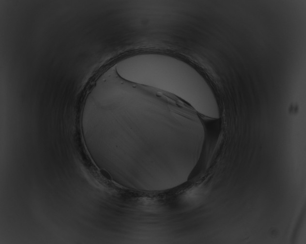 X0000091850496200710031023
