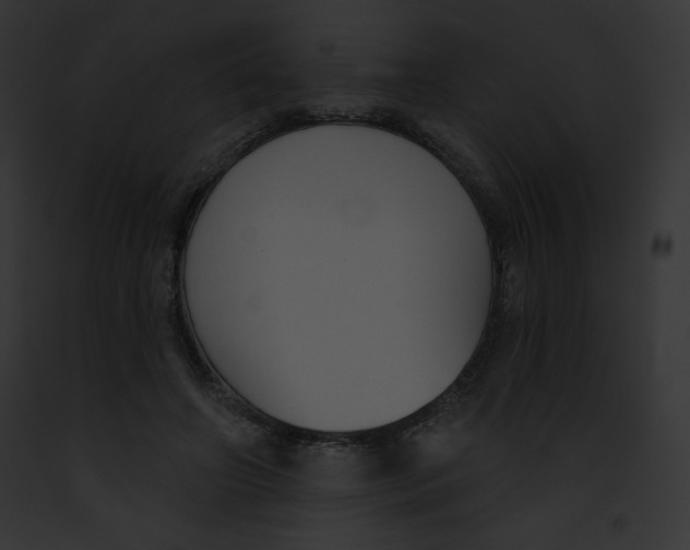 X0000091850498200710031023