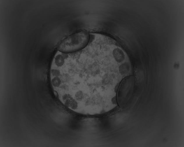 X0000091850499200710031023