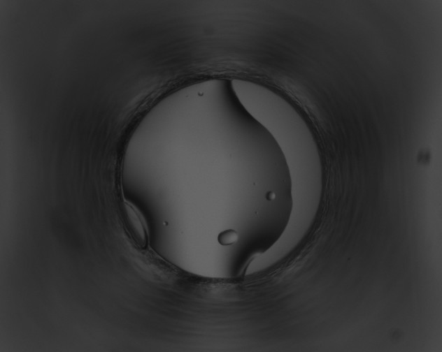 X0000091850501200710031023