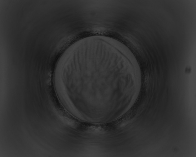 X0000091850502200710031023