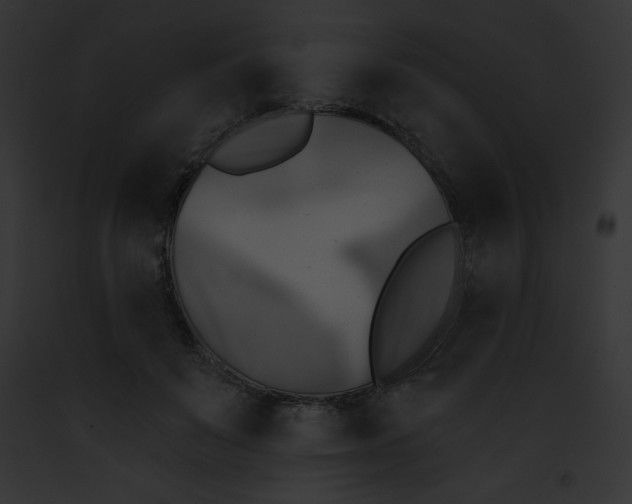 X0000091850503200710031023