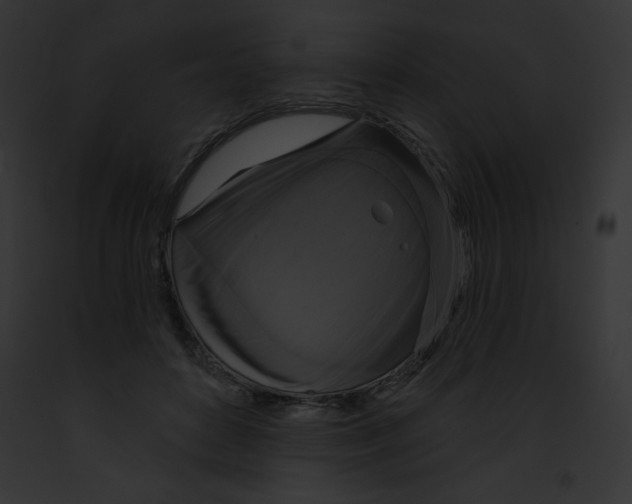 X0000091850504200710031023
