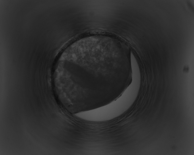 X0000091850508200710031022