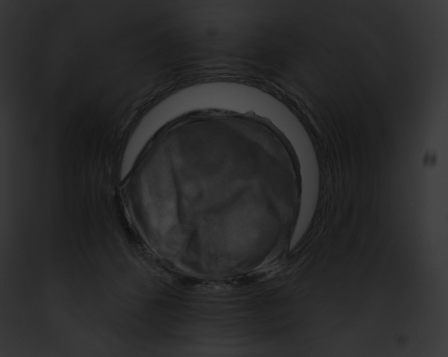 X0000091850512200710031022