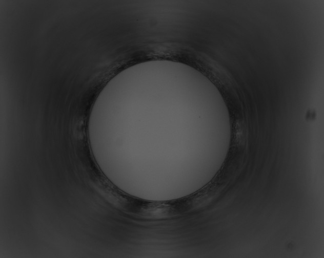 X0000091850514200710031022