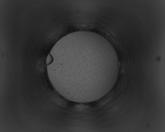 X0000091850515200710031022