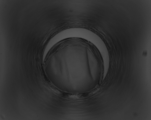 X0000091850516200710031022