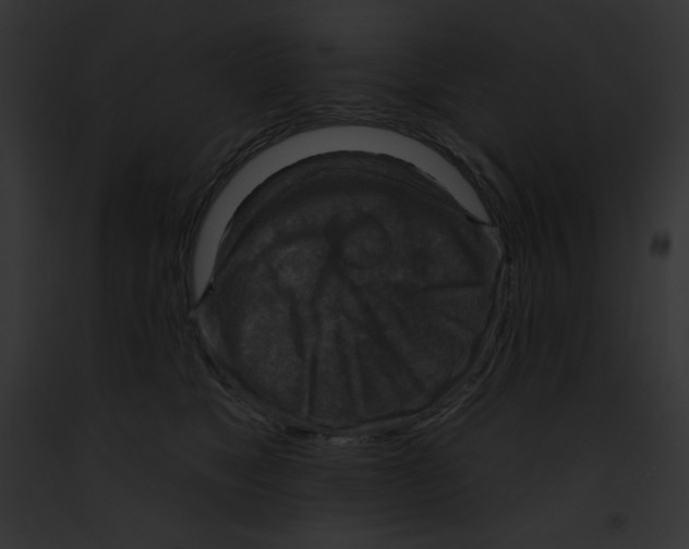 X0000091850517200710031022