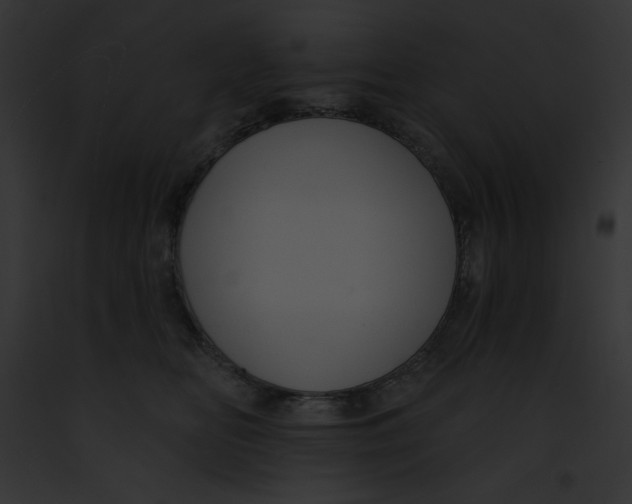 X0000091850518200710031022
