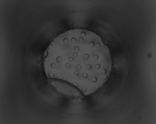 X0000091850519200710031022