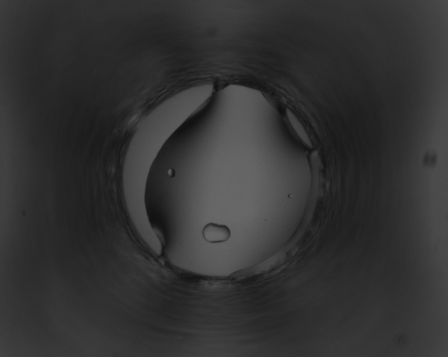 X0000091850520200710031022