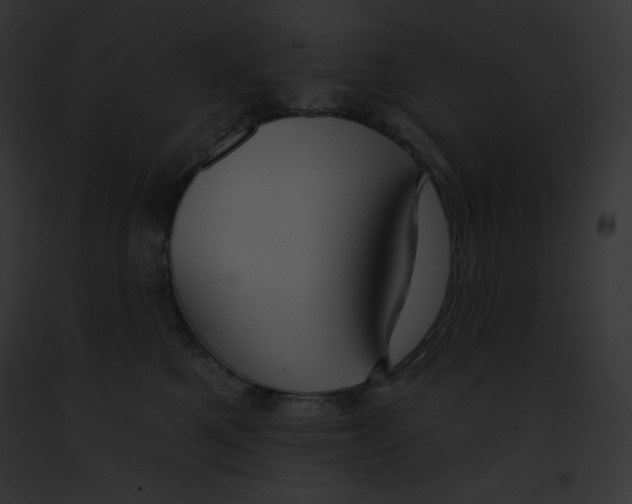 X0000091850521200710031022