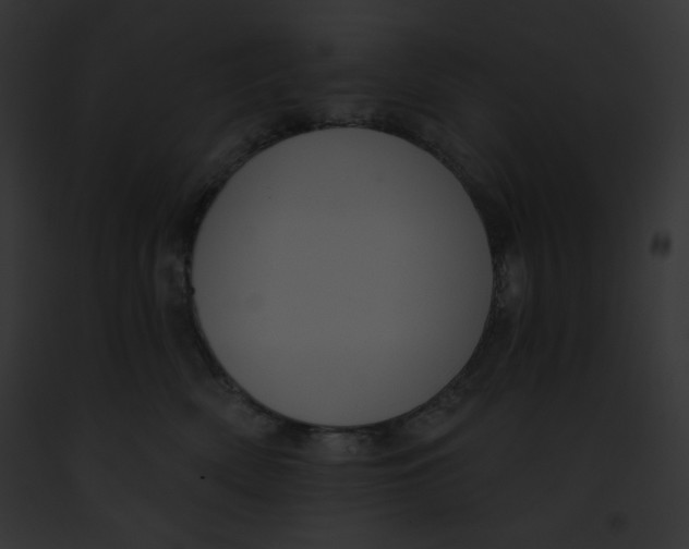 X0000091850522200710031022