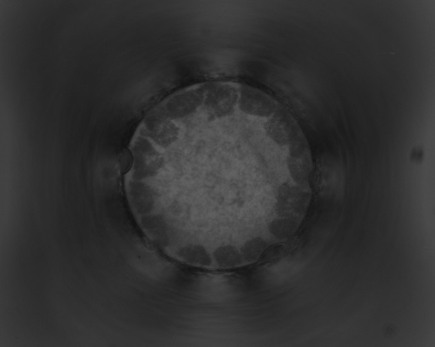 X0000091850523200710031022