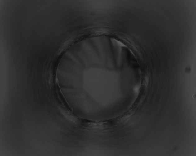 X0000091850524200710031022