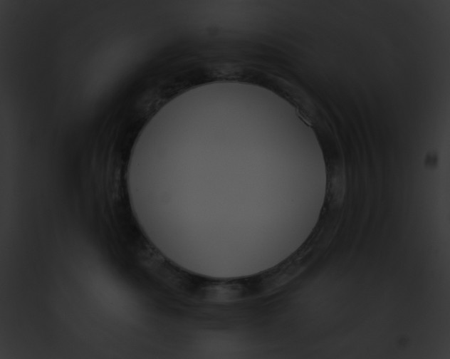 X0000091850525200710031022