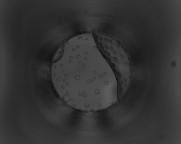 X0000091850527200710031022