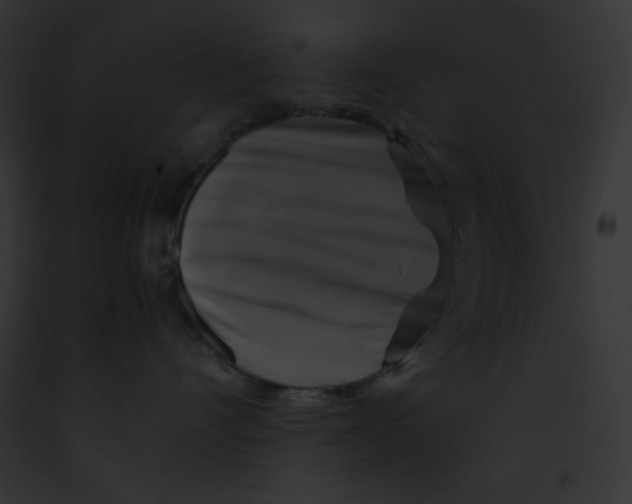 X0000091850528200710031022