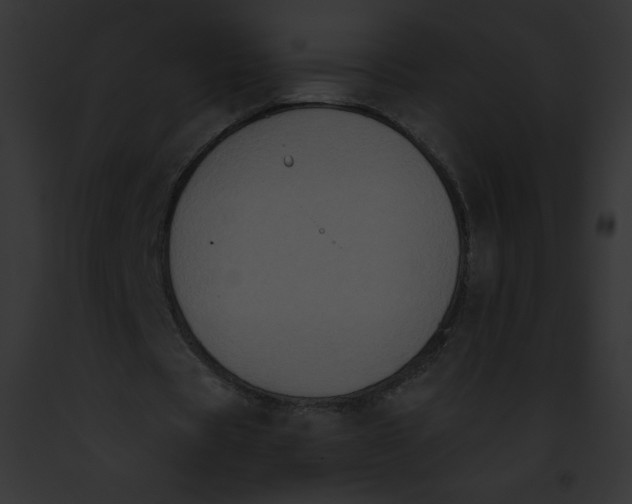 X0000091850529200710031022