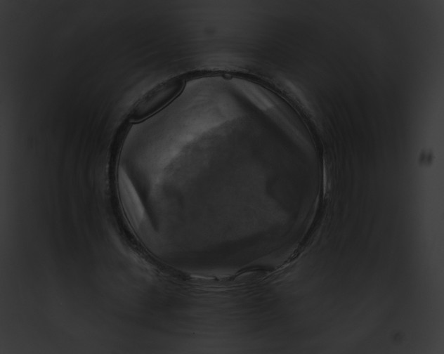 X0000091850531200710031022