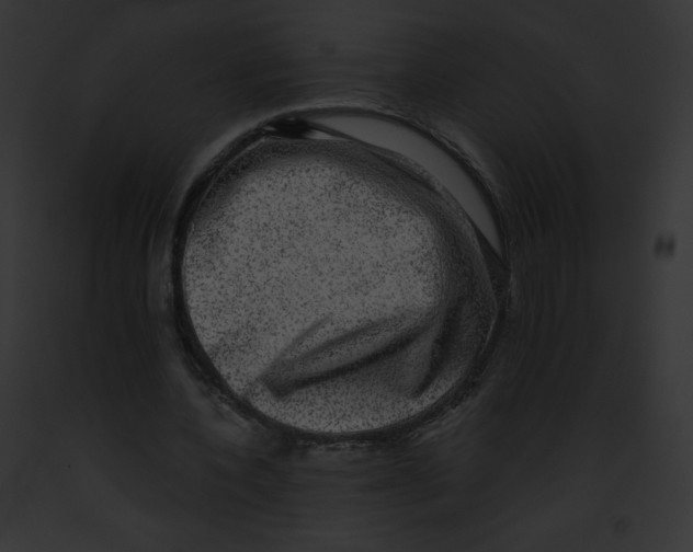 X0000091850532200710031022