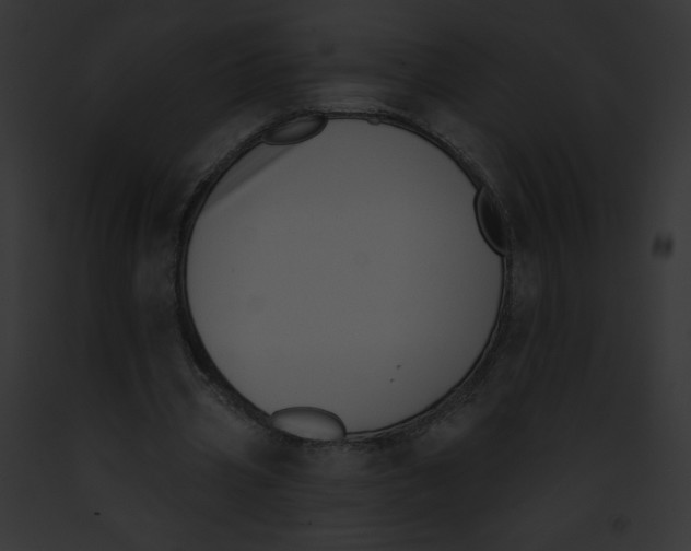 X0000091850533200710031022